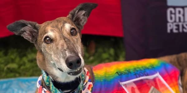 Twin Cities Pride Festival