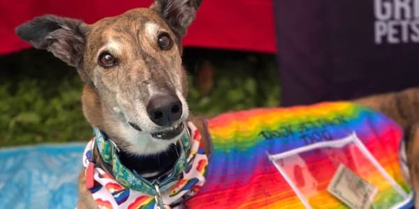 Twin Cities Pride Festival