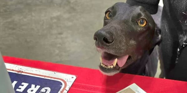 Meet & Greet at Fridley Petco