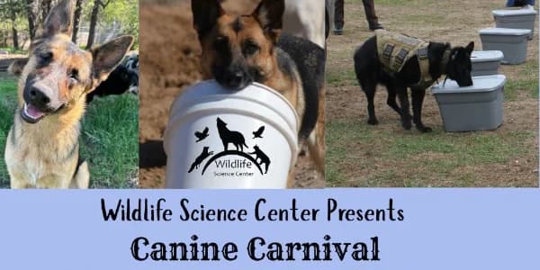 Canine Carnival at Wildlife Science Center