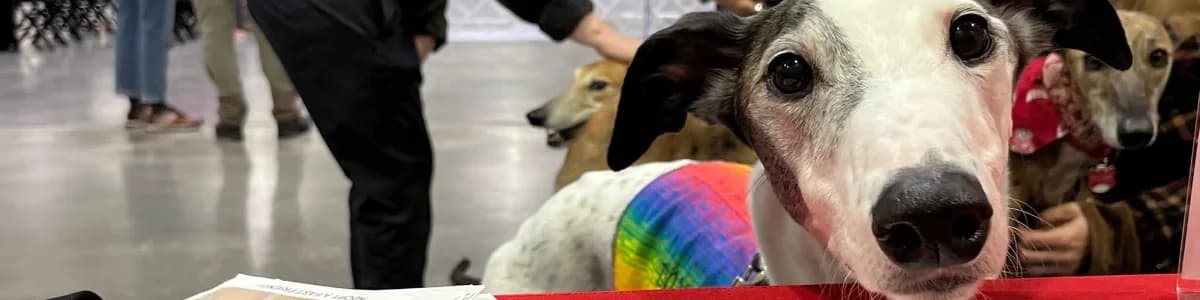 Meet & Greet at Pet Supplies Plus in Vadnais Heights