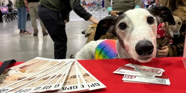Meet & Greet at Pet Supplies Plus in Vadnais Heights