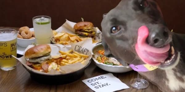 Dinner with Dogs at The Howe
