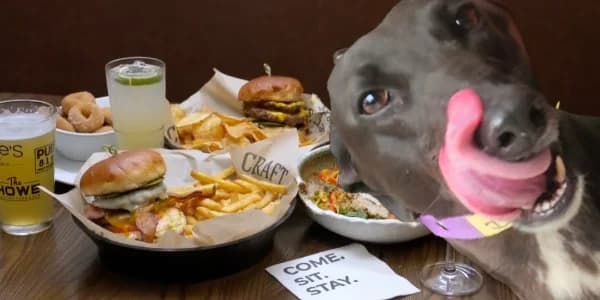 Dinner with Dogs at The Block SLP