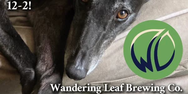 Pop-up Meet & Greet at Wandering Leaf Brewing