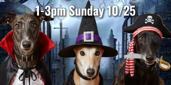 Howl-oween Party at Wandering Leaf Brewing!