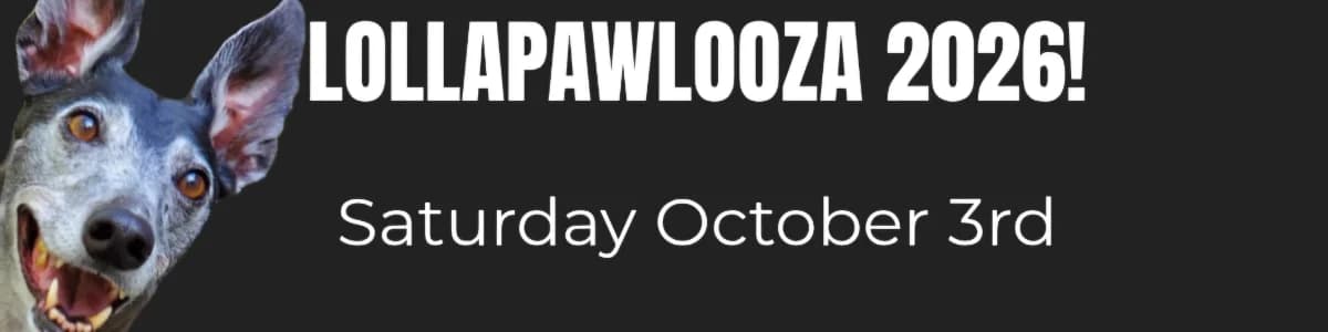 LollaPAWlooza